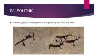 PALEOLITHIC
Humans got food hunting animals and gathering wild fruits and roots