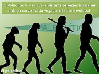 Al Paleolític hi va haver diferents espècies humanes
amb un cervell cada vegada més desenvolupat.
El paleolític
 