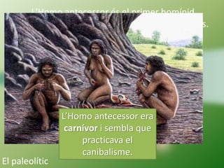 L'Homo antecessor és el primer homínid
que va viure a Europa, fa més d’un milió d’anys.
L’Homo antecessor era
carnívor i sembla que
practicava el
canibalisme.
El paleolític
 