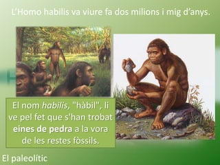 L’Homo erectus va existir
des de fa més d’un milió i mig d’anys.
El paleolític
 
