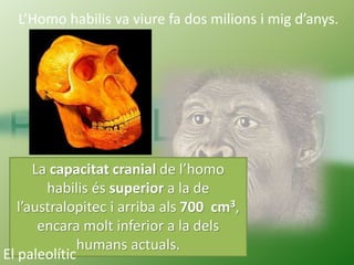 L’homo erectus és qui va aprendre a fer foc
fa vora de mig milió d’anys.
L’Homo erectus va existir
des de fa més d’un mili...