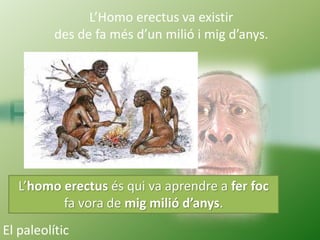 El crani de l’homo
erectus
s’assemblava força
als dels humans
actuals: la seva
capacitat s’acostava
als 1.000 cm3
L’Homo e...