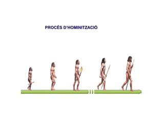 1. Els primers éssers humans
09
PROCÉS D’HOMINITZACIÓ
 