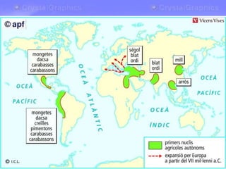 La difusió del Neolític
• Des del Creixent Fèrtil, es va produir, a partir del VII mil·lenni a.
C., la difusió de les tècniques agrícoles noves arreu d’Europa.
A més de fer-ho a l’Orient Pròxim, l’agricultura va sorgir de
manera autònoma en altres zones del planeta: la vall de
l’Indus (Índia), la vall de l’Huang He (Xina), la vall del Song
Hong (Vietnam), els altiplans de Centreamèrica (Mèxic), la
serralada dels Andes (Perú), etc.
El Neolític: la producció d’aliments
 