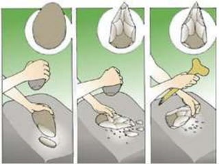 La fabricació d’instruments
• La fabricació d’instruments és un dels signes que diferencia
l’espècie humana dels altres animals. Al començament, feien
servir simples pedres tallades per aconseguir una vora tallant.
Més endavant van fer servir sílex, amb el qual van fabricar
bifaços (de 2 cares). I amb el pas del temps, es van fer servir
nous materials com ara els ossos i les banyes d'animals, amb
els quals feien hams, arpons, agulles, propulsors...
El Paleolític: la caça i la recol·lecció
 