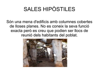 SALES HIPÒSTILES
Són una mena d'edificis amb columnes cobertes
de lloses planes. No es coneix la seva funció
exacta però es creu que podien ser llocs de
reunió dels habitants del poblat.
 