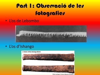 Part 1: Observació de les
             fotografies
• L’os de Lebombo




• L’os d’Ishango
 