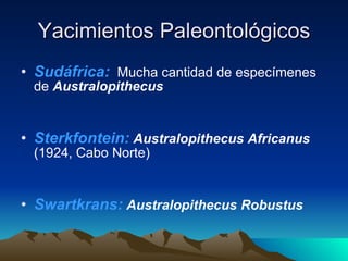 Yacimientos Paleontológicos Sudáfrica:   Mucha cantidad de especímenes de  Australopithecus Sterkfontein:   Australopithecus Africanus  (1924, Cabo Norte) Swartkrans:   Australopithecus Robustus 