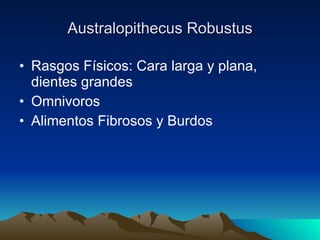 Australopithecus Robustus Rasgos Físicos: Cara larga y plana, dientes grandes Omnivoros Alimentos Fibrosos y Burdos 