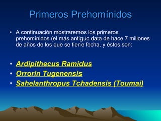 Primeros Prehomínidos A continuación mostraremos los primeros prehomínidos (el más antiguo data de hace 7 millones de años de los que se tiene fecha, y éstos son: Ardipithecus Ramidus Orrorin Tugenensis Sahelanthropus Tchadensis (Toumai) 