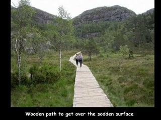 Wooden path to get over the sodden surface 