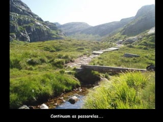 Continuam as passarelas...
 