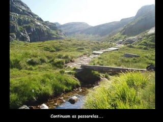 Continuam as passarelas... 