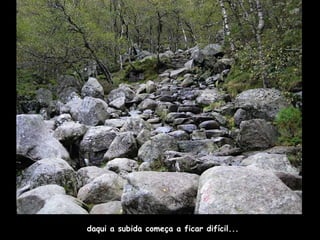 daqui a subida começa a ficar difícil... 