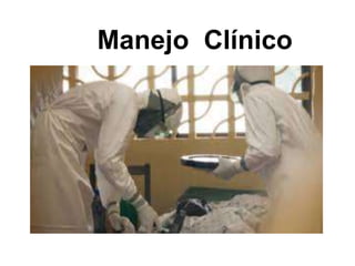 Manejo Clínico
 