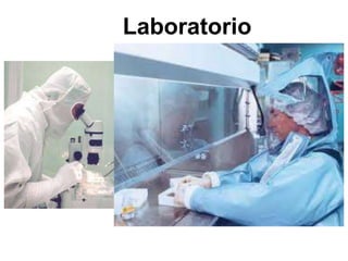 Laboratorio
 
