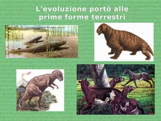 L’evoluzione portò alle
 prime forme terrestri
 