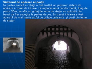 Sistemul de ap ă rare al por ţ ii In partea sudic ă  a cet ăţ ii a fost instlat un puternic sistem de ap ă rare a zonei de intrare. La mijlocul unui coridor boltit, lung de  peste 30m, se afla un grilaj de lemn de stejar cu apl i ca ţ ii din  benzi de  fier   ascuţite la partea de jos.   In trecut intrarea a fost aparat ă  de mai multe astfel de grilaje culisante   ş i por ţ i din lemn de stejar. 