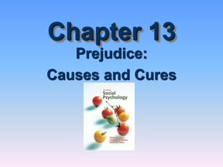 Chapter 13
Prejudice:
Causes and Cures
 
