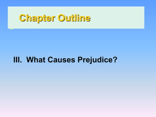 Chapter Outline
III. What Causes Prejudice?
 