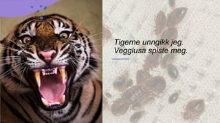 Tigerne unngikk jeg.
Vegglusa spiste meg.
 