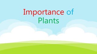 Importance of
Plants
 