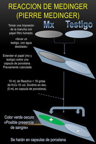 Medinger Prelaboratorio de practica 2 de analisis quimico forense | PPTX