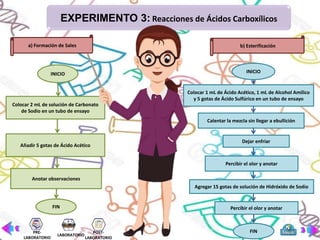 EXPERIMENTO 3: Reacciones de Ácidos Carboxílicos
INICIO
a) Formación de Sales
Colocar 2 mL de solución de Carbonato
de Sodio en un tubo de ensayo
Añadir 5 gotas de Ácido Acético
Anotar observaciones
FIN
b) Esterificación
INICIO
Colocar 1 mL de Ácido Acético, 1 mL de Alcohol Amílico
y 5 gotas de Ácido Sulfúrico en un tubo de ensayo
Calentar la mezcla sin llegar a ebullición
Dejar enfriar
Percibir el olor y anotar
Agregar 15 gotas de solución de Hidróxido de Sodio
Percibir el olor y anotar
FIN
PRE-
LABORATORIO
LABORATORIO
POST-
LABORATORIO
 