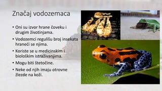 Značaj vodozemaca
• Oni su izvor hrane čoveku i
drugim životinjama.
• Vodozemci regulišu broj insekata
hraneći se njima.
• Koriste se u medicinskim i
biološkim istraživanjima.
• Mogu biti štetočine.
• Neke od njih imaju otrovne
žlezde na koži.
 