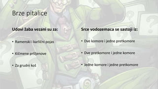 Brze pitalice
Udovi žaba vezani su za:
• Ramenski i karlični pojas
• Kičmene pršljenove
• Za grudni koš
Srce vodozemaca se sastoji iz:
• Dve komore i jedne pretkomore
• Dve pretkomore i jedne komore
• Jedne komore i jedne pretkomore
 