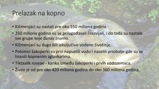 Prelazak na kopno
• Kičmenjaci su nastali pre oko 550 miliona godina.
• 250 miliona godina su se prilagođavali i razvijali, i do tada su nastale
sve grupe koje danas znamo.
• Kičmenjaci su dugo bili iskuljučivo vodene životinje.
• Potomci šakoperki su prvi napustili vodu i naselili priobalje gde su se
hranili kopnenim zglavkarima.
• Tiktaalik roseae - karika između šakoperki i prvih vodozemaca.
• Živeo je od pre oko 420 miliona godina do oko 360 miliona godina.
 