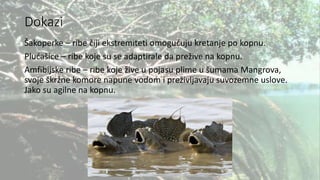 Dokazi
Šakoperke – ribe čiji ekstremiteti omogućuju kretanje po kopnu.
Plućašice – ribe koje su se adaptirale da prežive na kopnu.
Amfibijske ribe – ribe koje žive u pojasu plime u šumama Mangrova,
svoje škržne komore napune vodom i preživljavaju suvozemne uslove.
Jako su agilne na kopnu.
 