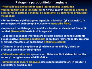 Patogenia parodontitelor marginale
- Reacţia locală a ţesuturilor gazdă (parodontale) la acţiunea
microorganismelor şi toxinelor lor la nivelul capilar, deoarece anume la
acest nivel se petrece schimbul de substanţe, cu eliminarea produselor
metabolice;
- Pentru izolarea şi distrugerea agentului microbian (şi a toxinelor), în
zona respectivă se îndreaptă leucocitele (neutrofile PMN);
- În procesul de distrugere a celulelor microbiene, ele elimină fermenţi
celulari (lisozomali) foarte toxici - agresivi;
- Localizate în spaţiile intercelulare celulele gigante elimină substanţe
biologic active (heparină, histamină) şi mulţi alţi fermenţi pentru izolarea
şi distrugerea celulelor microbiene (inflamaţie acută);
- Dilatarea bruscă a capilarelor şi mărirea permiabilităţii, clinic se
pronunţă prin sângerări gingivale;
- Edemul ţesuturilor moi apare ca rezultatul afectării sistemului capilar
venos şi dereglarea evacuării limfatice;
- Simptomul de durere gingivală este rezultatul acumulării în ţesuturi a
peptidelor şi bradikininei;
 