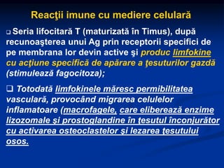 Reacţii imune cu mediere celulară
 Seria lifocitară T (maturizată în Timus), după
recunoaşterea unui Ag prin receptorii specifici de
pe membrana lor devin active şi produc limfokine
cu acţiune specifică de apărare a ţesuturilor gazdă
(stimulează fagocitoza);
 Totodată limfokinele măresc permibilitatea
vasculară, provocând migrarea celulelor
inflamatoare (macrofagele, care eliberează enzime
lizozomale şi prostoglandine în ţesutul înconjurător
cu activarea osteoclastelor şi lezarea ţesutului
osos.
 