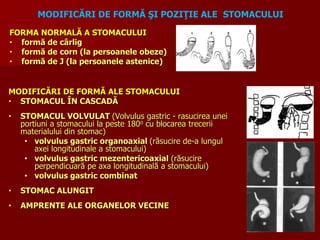 MODIFICĂRI DE FORMĂ ŞI POZIŢIE ALE STOMACULUI
FORMA NORMALĂ A STOMACULUI
• formă de cârlig
• formă de corn (la persoanele obeze)
• formă de J (la persoanele astenice)
MODIFICĂRI DE FORMĂ ALE STOMACULUI
• STOMACUL ÎN CASCADĂ
• STOMACUL VOLVULAT (Volvulus gastric - rasucirea unei
portiuni a stomacului la peste 180o cu blocarea trecerii
materialului din stomac)
• volvulus gastric organoaxial (răsucire de-a lungul
axei longitudinale a stomacului)
• volvulus gastric mezentericoaxial (răsucire
perpendicuară pe axa longitudinală a stomacului)
• volvulus gastric combinat
• STOMAC ALUNGIT
• AMPRENTE ALE ORGANELOR VECINE
 