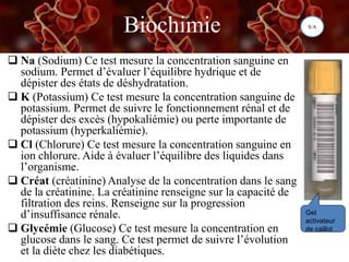 Biochimie
 Na (Sodium) Ce test mesure la concentration sanguine en
sodium. Permet d’évaluer l’équilibre hydrique et de
dépister des états de déshydratation.
 K (Potassium) Ce test mesure la concentration sanguine de
potassium. Permet de suivre le fonctionnement rénal et de
dépister des excès (hypokaliémie) ou perte importante de
potassium (hyperkaliémie).
 Cl (Chlorure) Ce test mesure la concentration sanguine en
ion chlorure. Aide à évaluer l’équilibre des liquides dans
l’organisme.
 Créat (créatinine) Analyse de la concentration dans le sang
de la créatinine. La créatinine renseigne sur la capacité de
filtration des reins. Renseigne sur la progression
d’insuffisance rénale.
 Glycémie (Glucose) Ce test mesure la concentration en
glucose dans le sang. Ce test permet de suivre l’évolution
et la diète chez les diabétiques.
Gel
activateur
de caillot
S/A
 