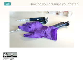 OSC How do you organise your data?
Vincent Gaggioli
 