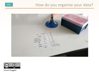 OSC How do you organise your data?
Vincent Gaggioli
 