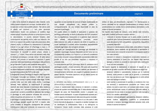 Progetto preliminare Piazza Mercato - Napoli