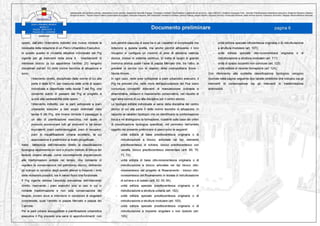 Progetto preliminare Piazza Mercato - Napoli