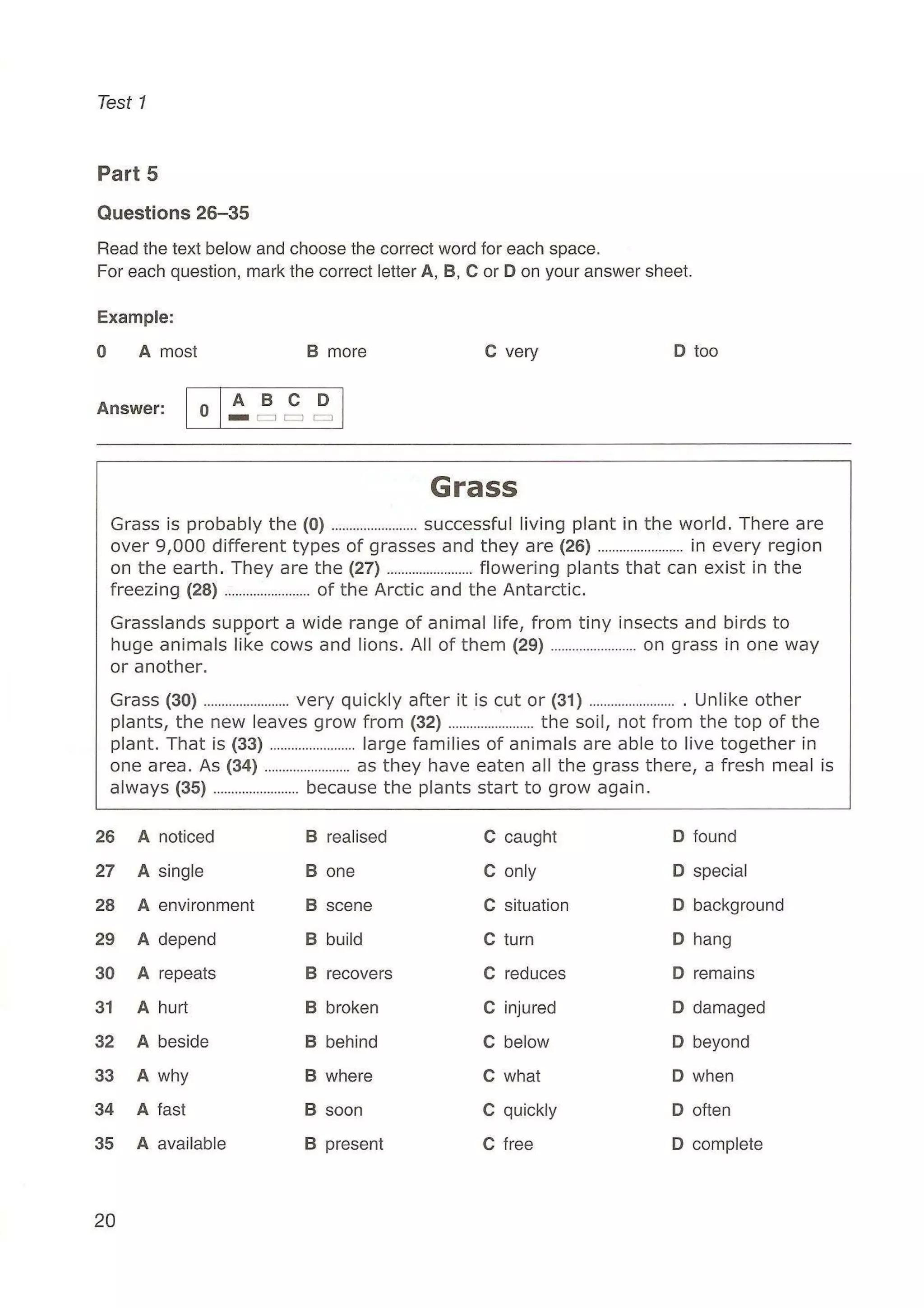Preliminary English test 5 with answers. (2003)