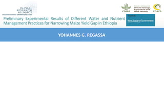 YOHANNES G. REGASSA
Preliminary Experimental Results of Different Water and Nutrient
Management Practices for Narrowing Maize Yield Gap in Ethiopia
 