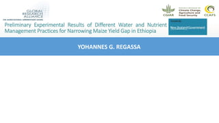 Preliminary experimental results of different water and nutrient management practices for narrowing maize yield gap in Ethiopia
