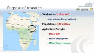 Preliminary experimental results of different water and nutrient management practices for narrowing maize yield gap in Ethiopia