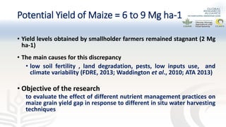 Preliminary experimental results of different water and nutrient management practices for narrowing maize yield gap in Ethiopia