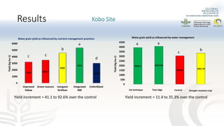 Preliminary experimental results of different water and nutrient management practices for narrowing maize yield gap in Ethiopia