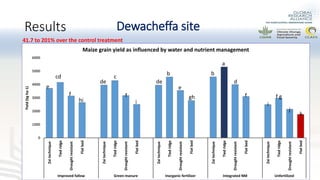 Preliminary experimental results of different water and nutrient management practices for narrowing maize yield gap in Ethiopia