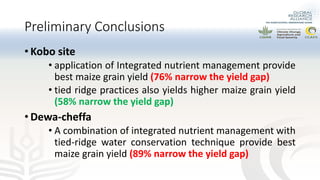 Preliminary experimental results of different water and nutrient management practices for narrowing maize yield gap in Ethiopia