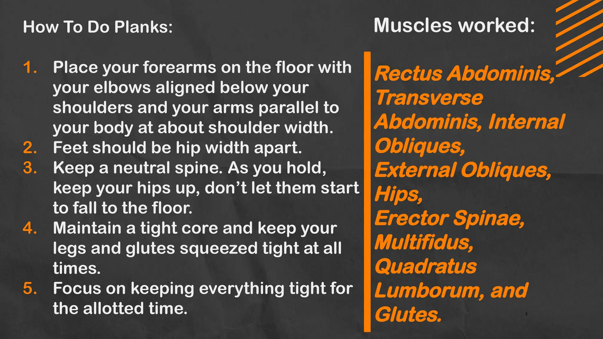 How To Do Planks:
1. Place your forearms on the floor with
your elbows aligned below your
shoulders and your arms parallel to
your body at about shoulder width.
2. Feet should be hip width apart.
3. Keep a neutral spine. As you hold,
keep your hips up, don’t let them start
to fall to the floor.
4. Maintain a tight core and keep your
legs and glutes squeezed tight at all
times.
5. Focus on keeping everything tight for
the allotted time.
Muscles worked:
Rectus Abdominis,
Transverse
Abdominis, Internal
Obliques,
External Obliques,
Hips,
Erector Spinae,
Multifidus,
Quadratus
Lumborum, and
Glutes.
 