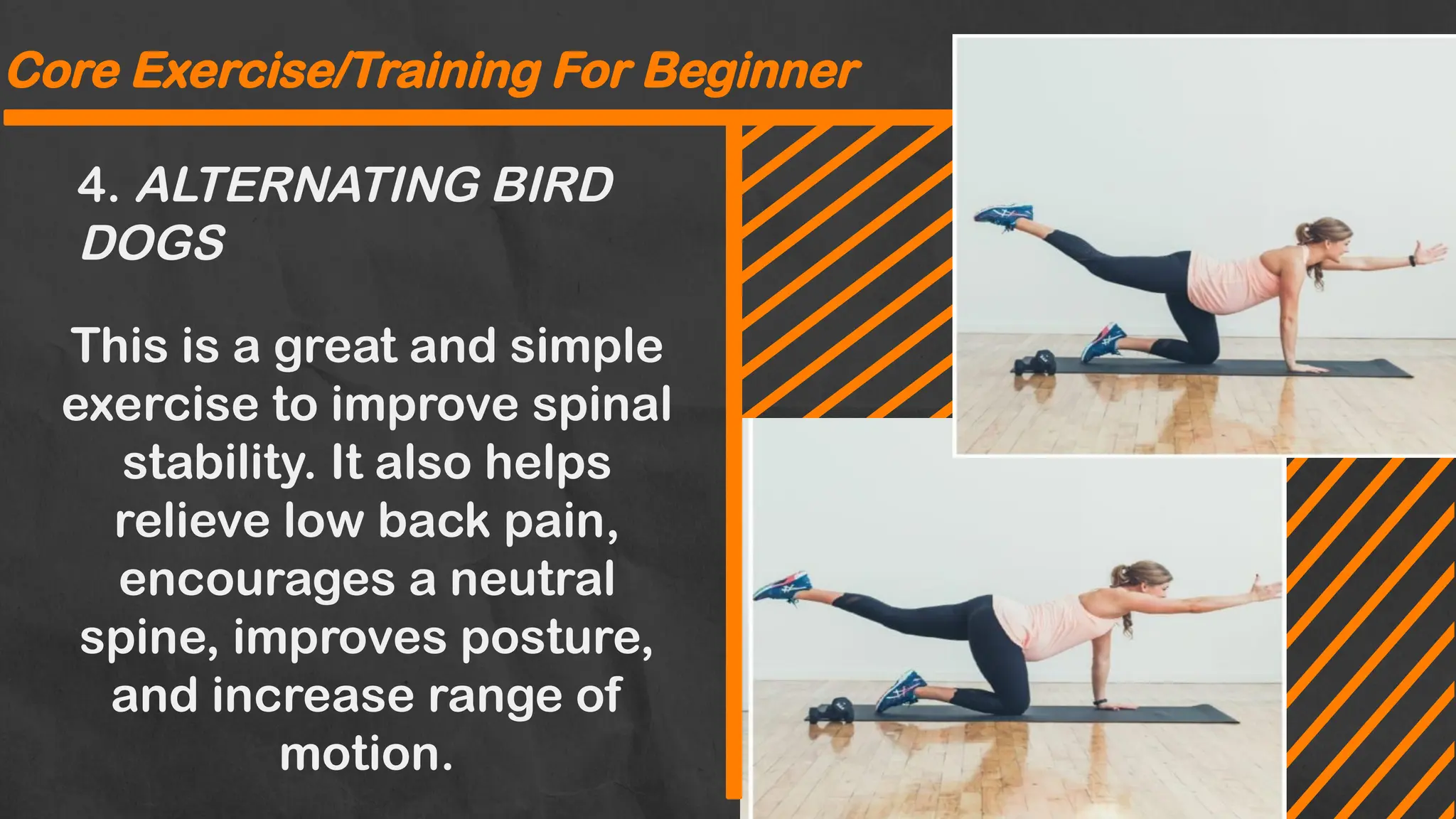 4. ALTERNATING BIRD
DOGS
Core Exercise/Training For Beginner
This is a great and simple
exercise to improve spinal
stability. It also helps
relieve low back pain,
encourages a neutral
spine, improves posture,
and increase range of
motion.
 